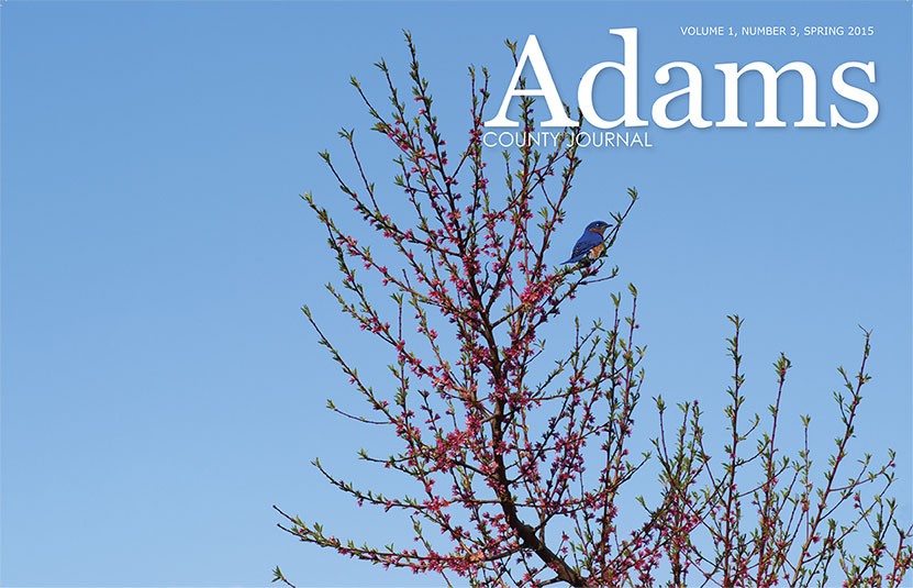 Adams County Journal cover