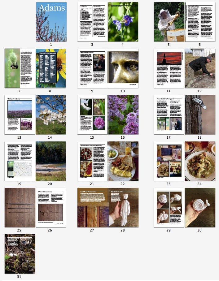 Sample pages