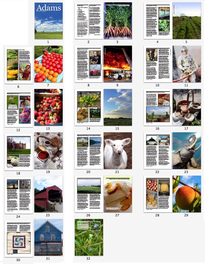 Sample pages