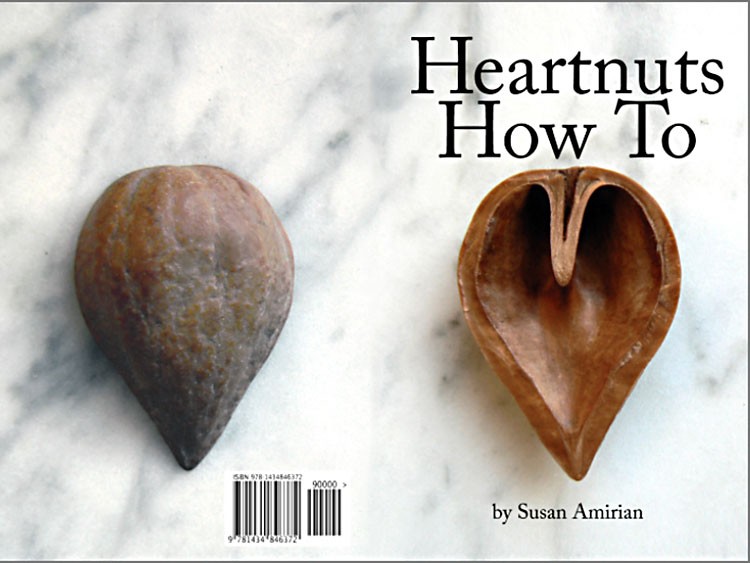 Heartnuts 2