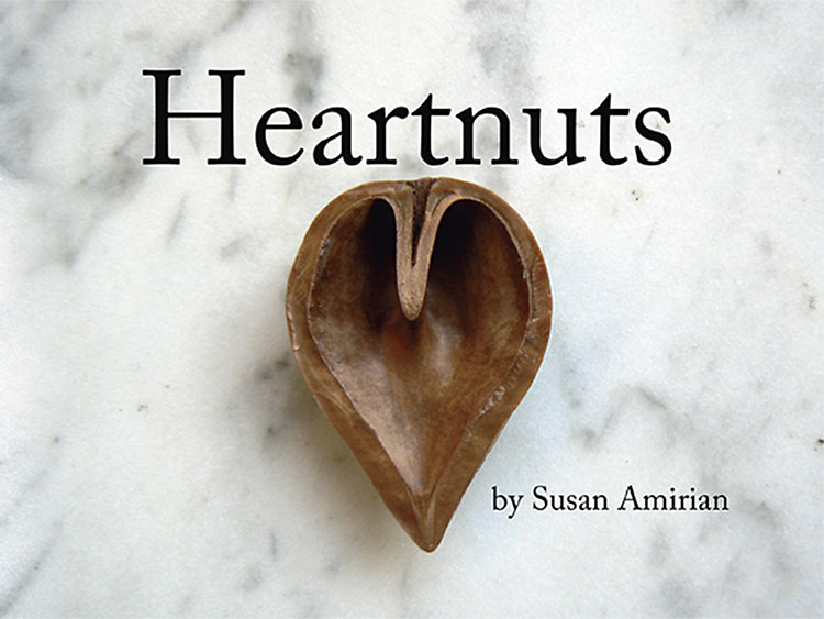 Heartnuts 1